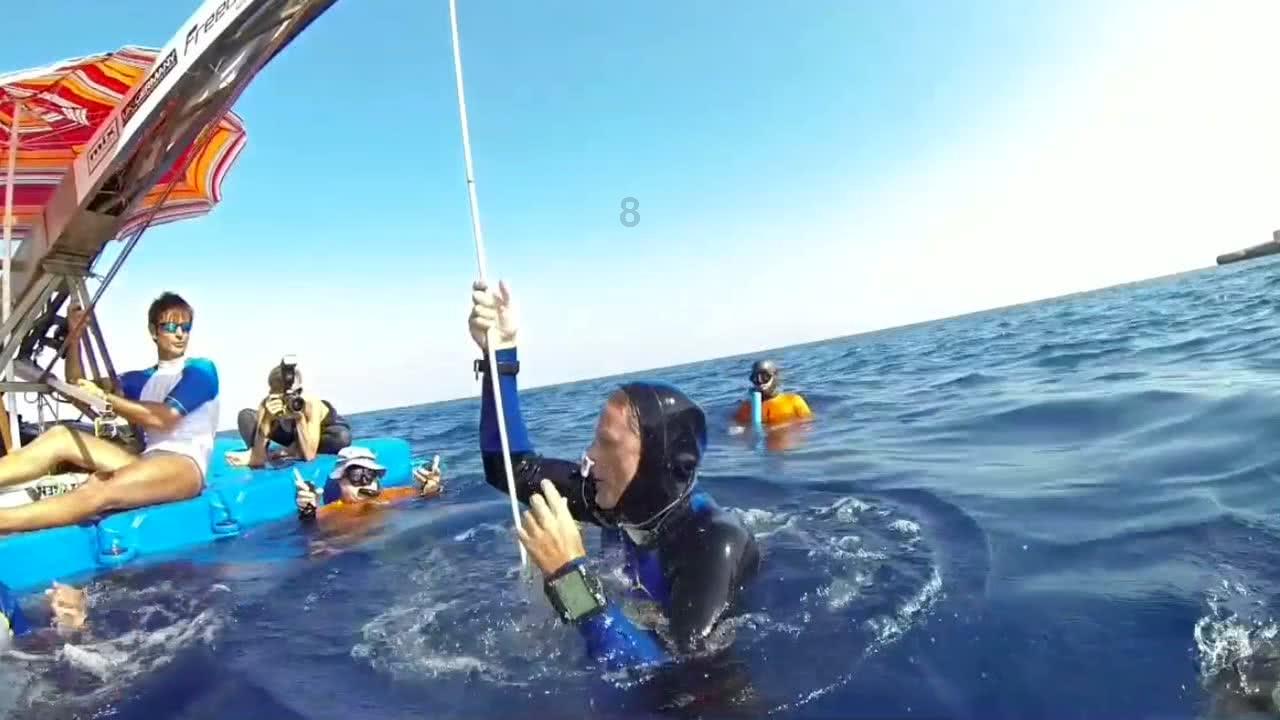逃离壳牌岛