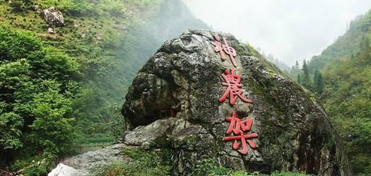 寻找神秘黄金